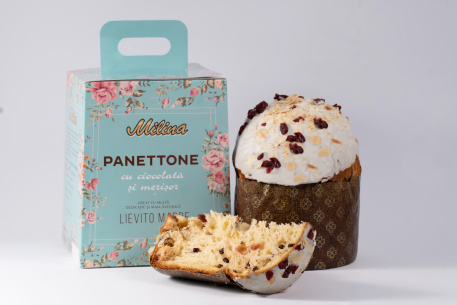 Козонак "PANETTONE" с шоколадом и клюквой 0.550кг